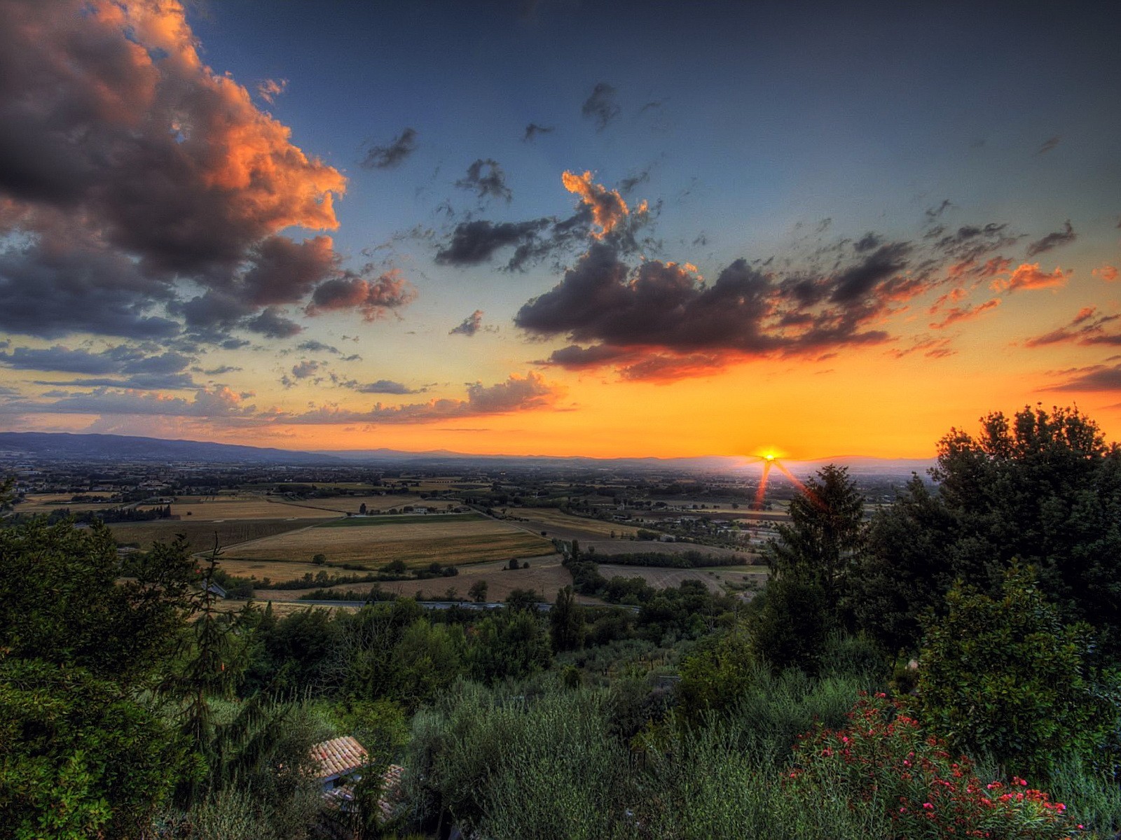 nuvole campi tramonto alberi