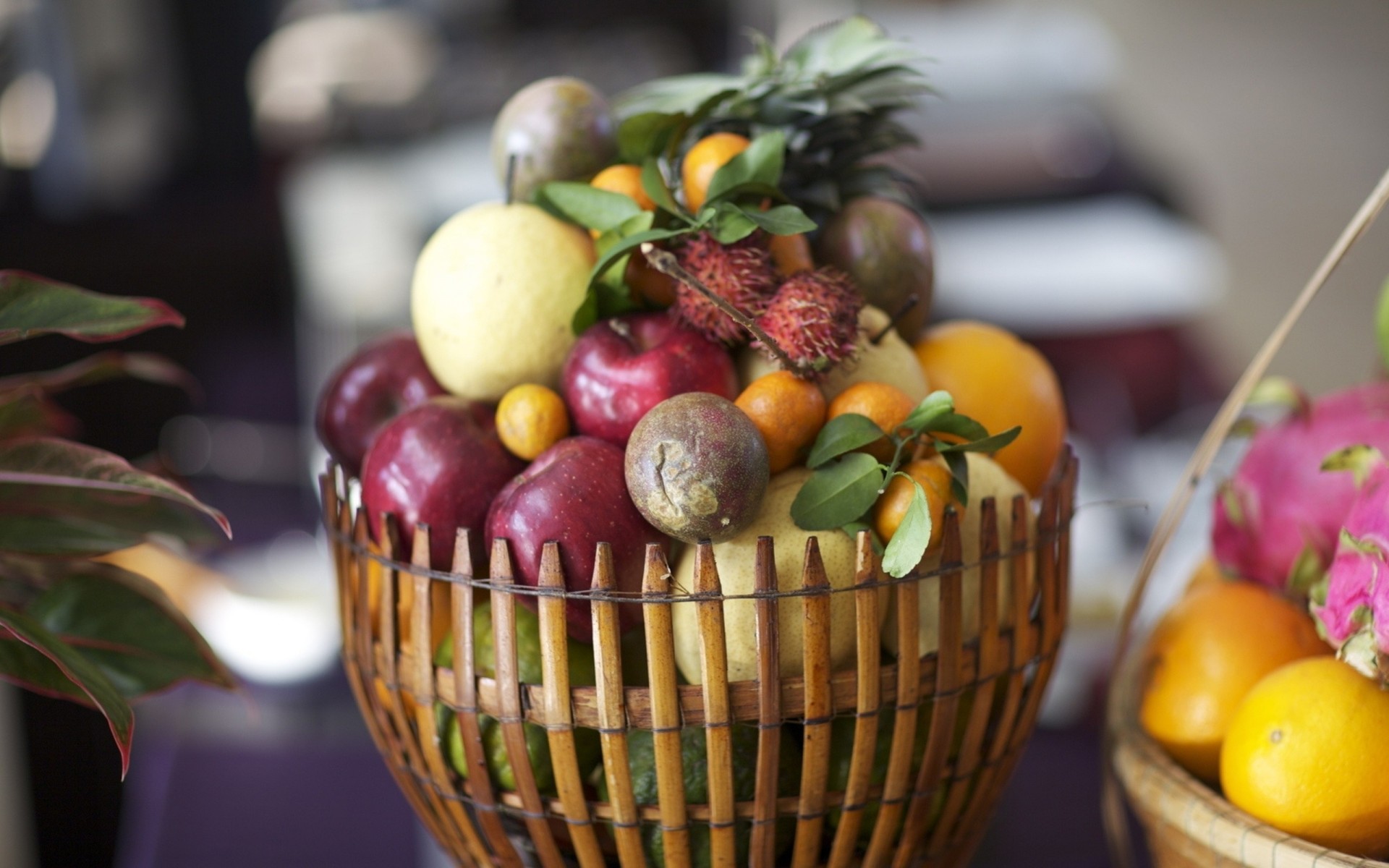 fruta caballa comer ir de compras