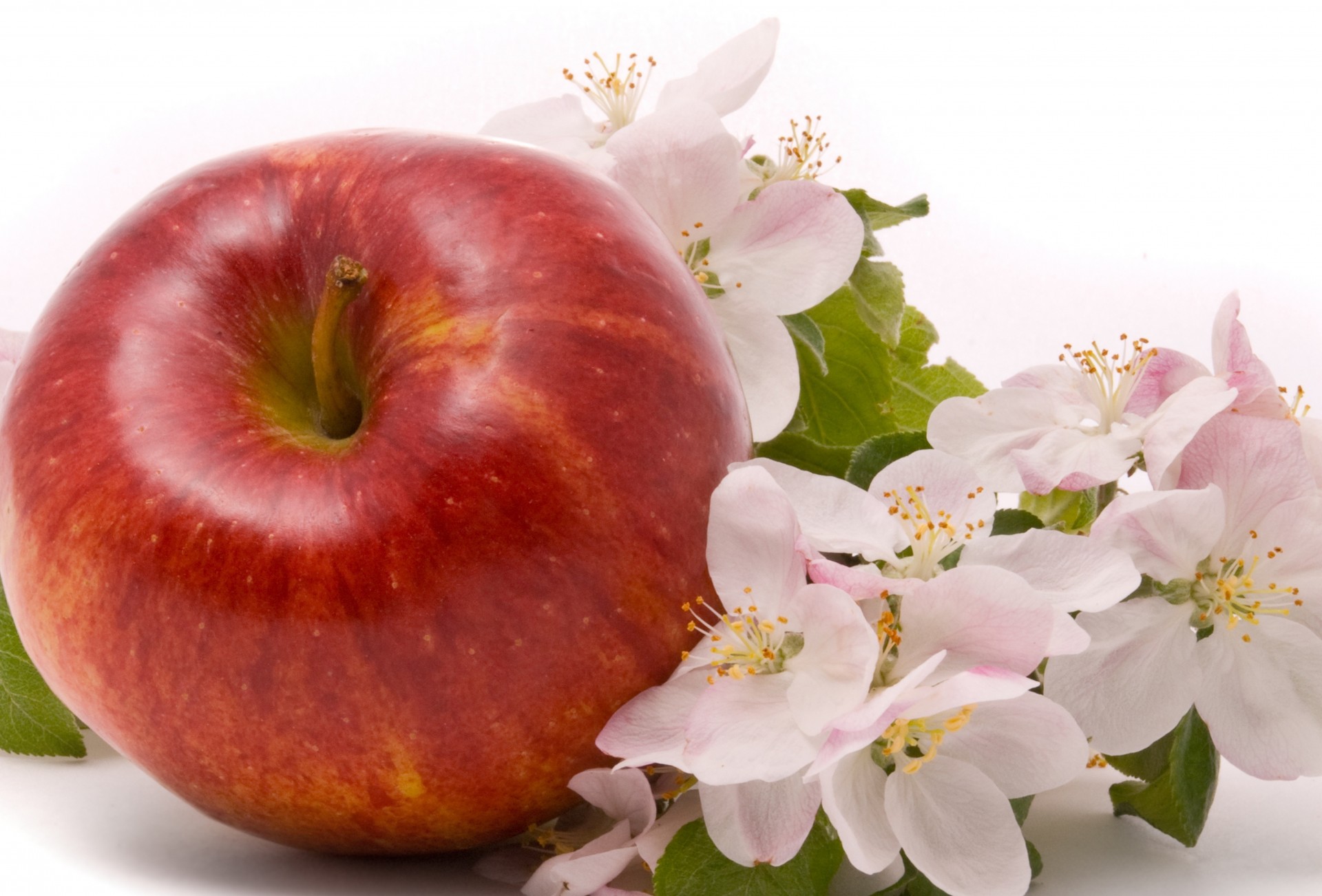 apfel obst blumen reif