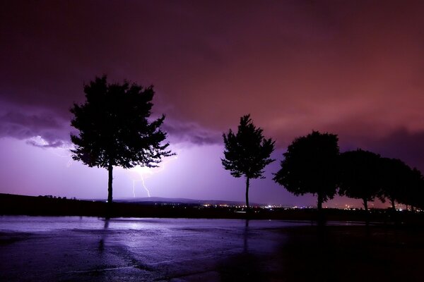 Lightning bolts behind the trees