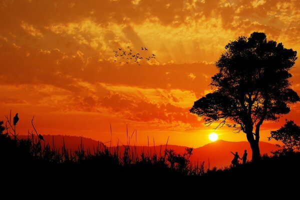 Beau coucher de soleil sur le lac