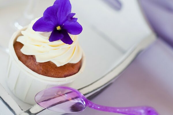 Dessert sucré avec de la crème sur la table