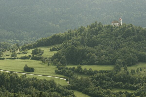 The road to the castle lost among the dense trees