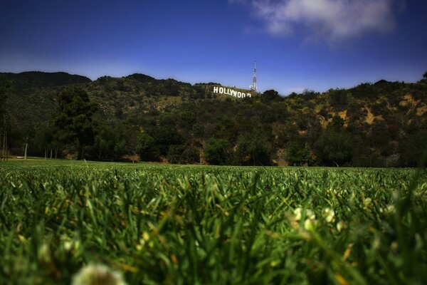 Landscape with greenery overlooking Hollywood