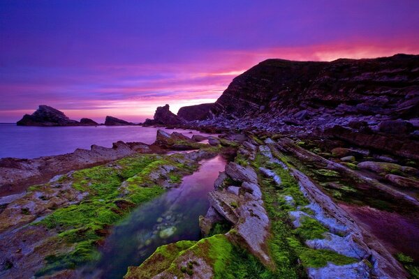 Sea and rocks. Moss and stones