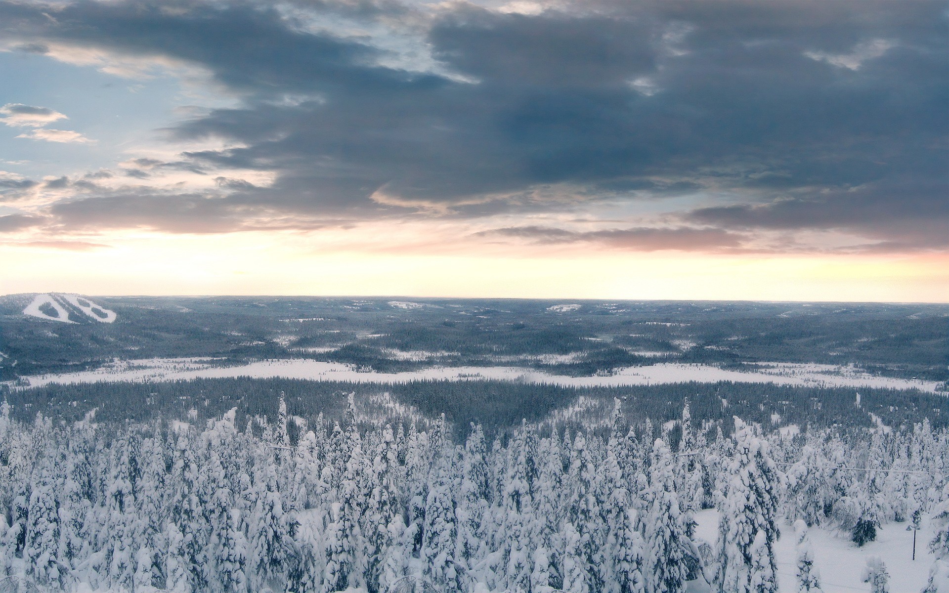 alberi foresta neve inverno nuvole