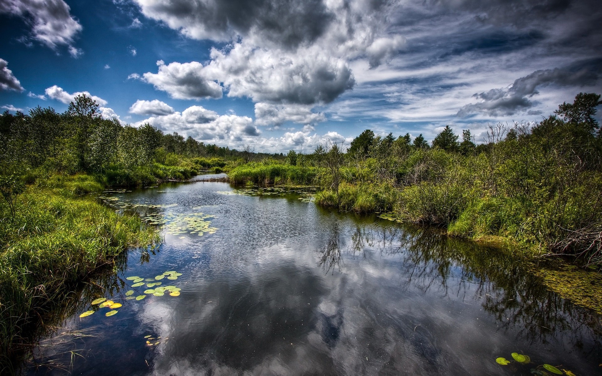 marais eau nuages arbres