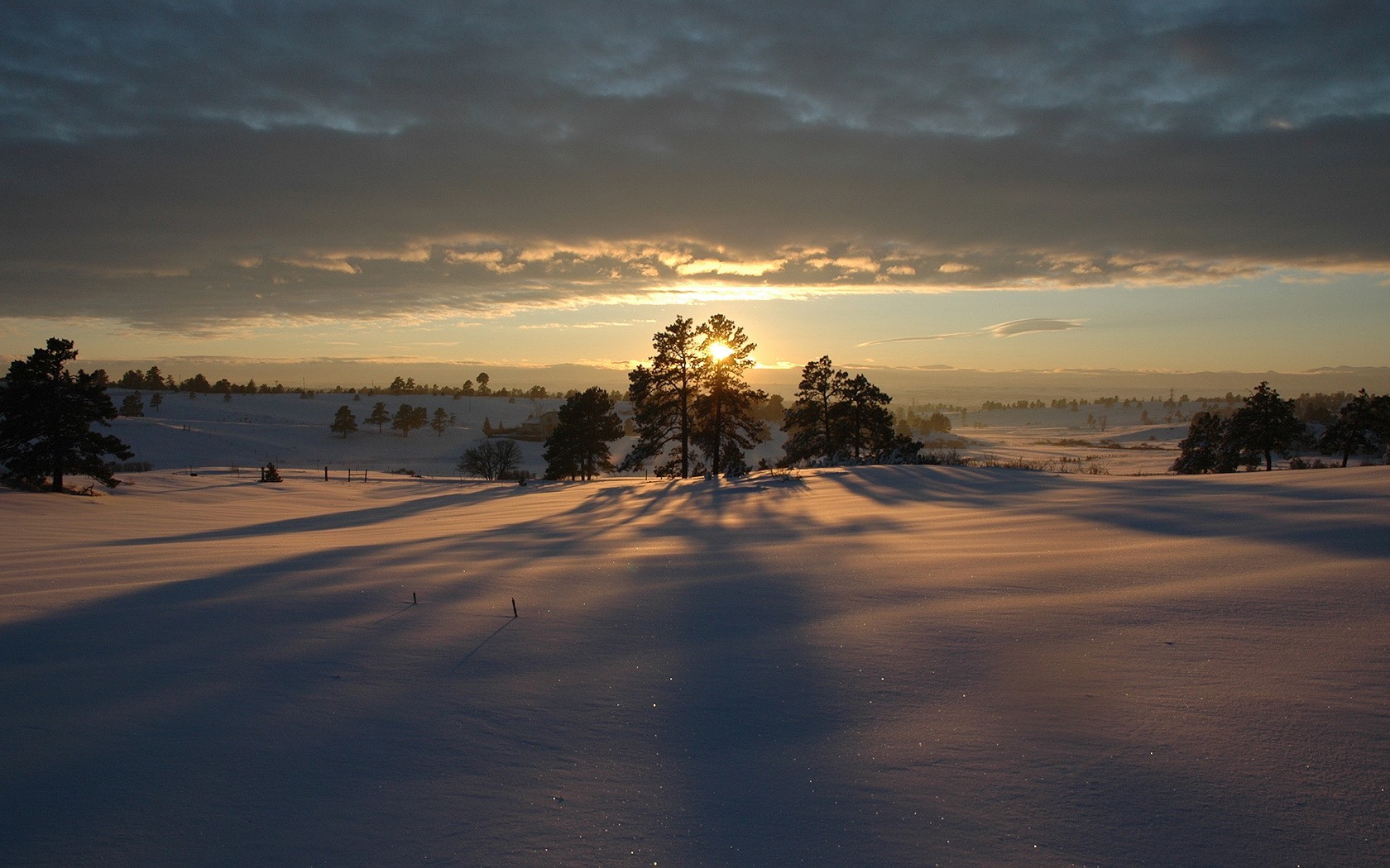 hiver coucher de soleil neige arbres