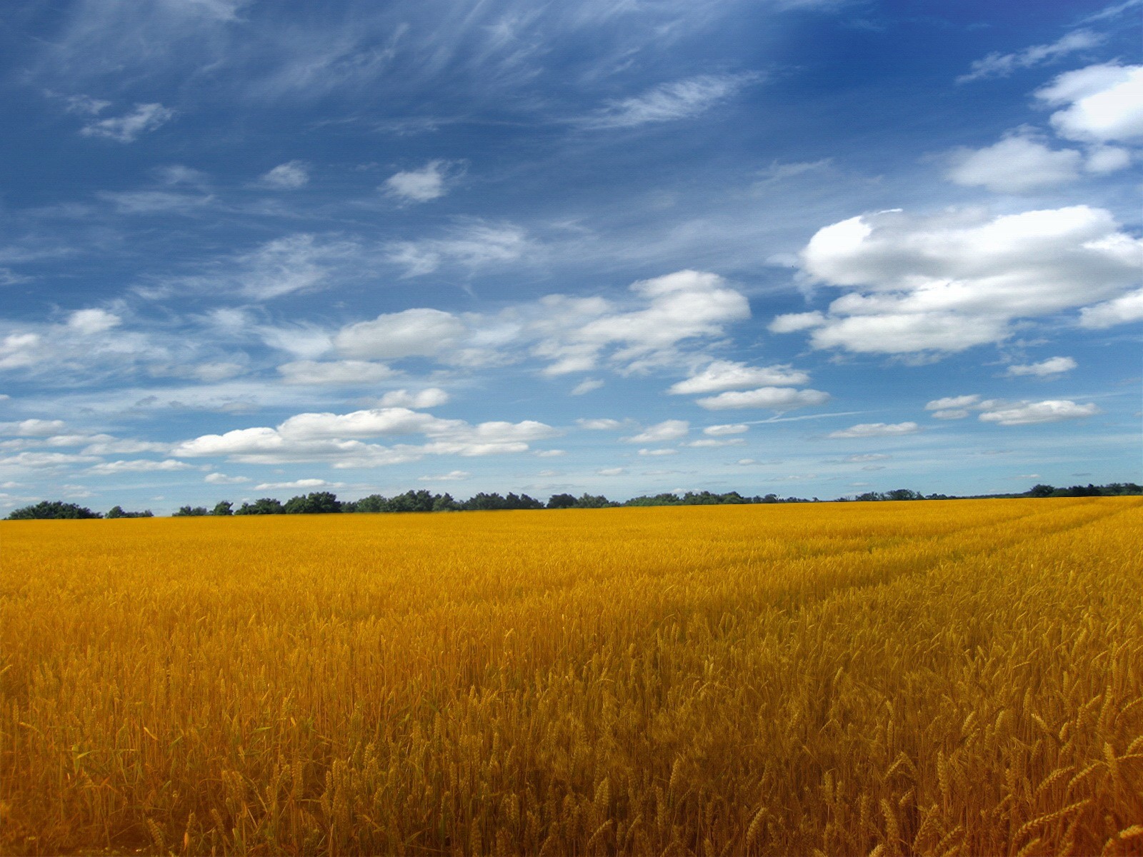 feld himmel wolken