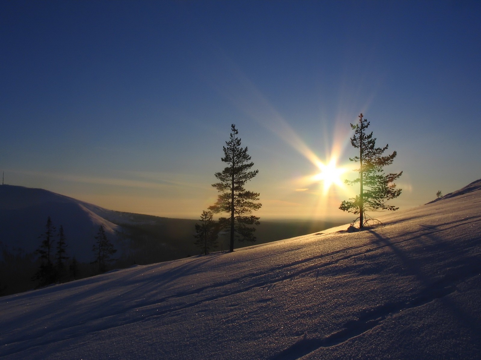 neige arbres soleil ciel