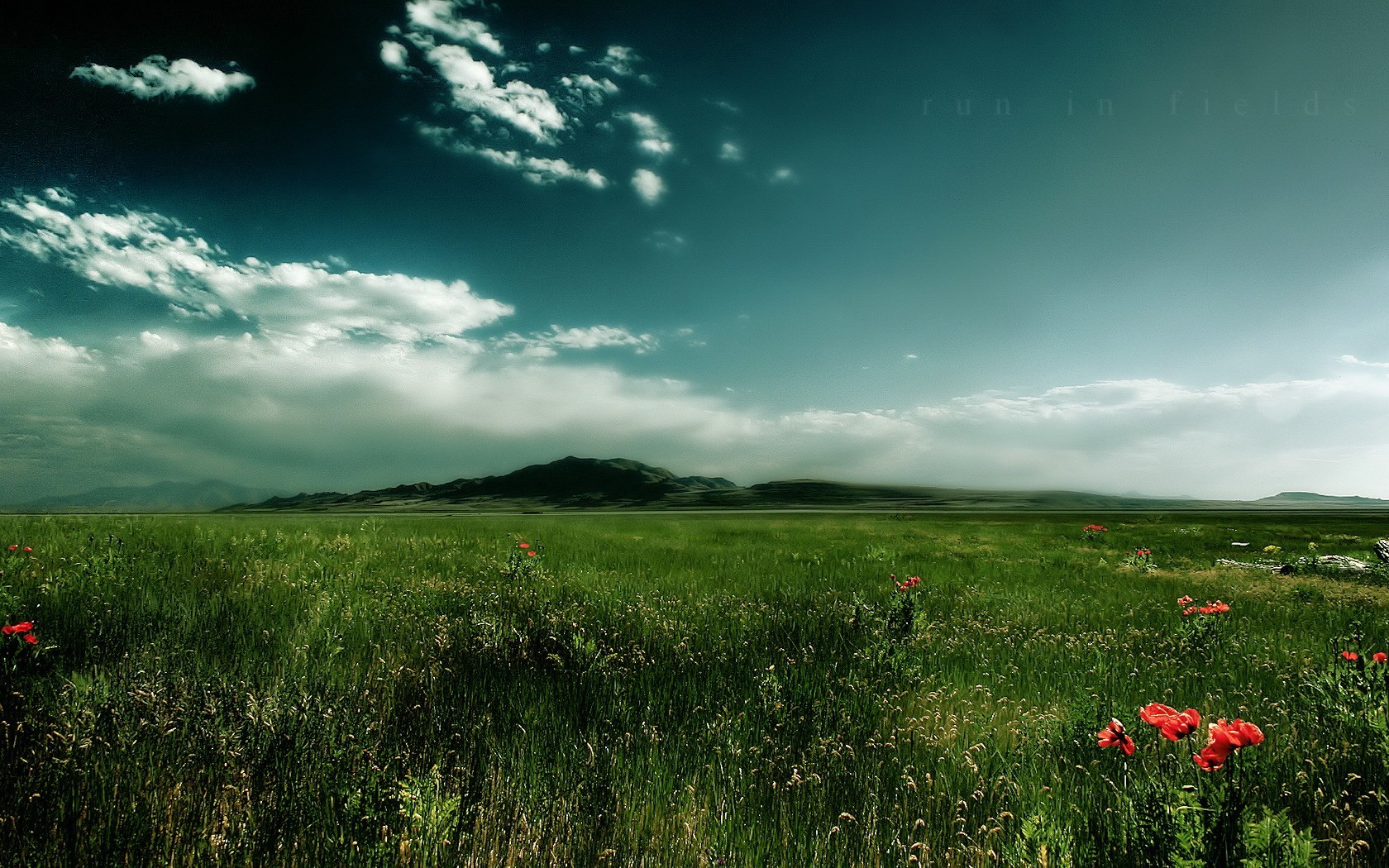 campo hierba nubes montaña