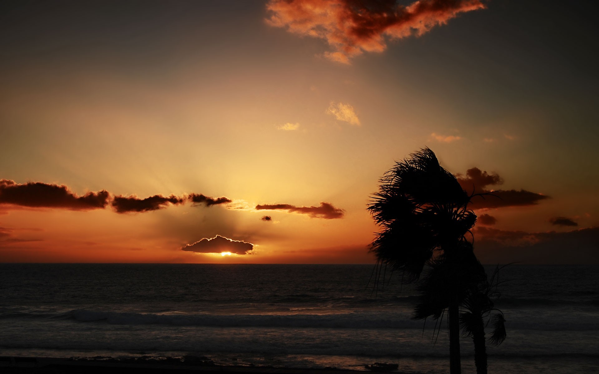 coucher de soleil palmiers nuages mer