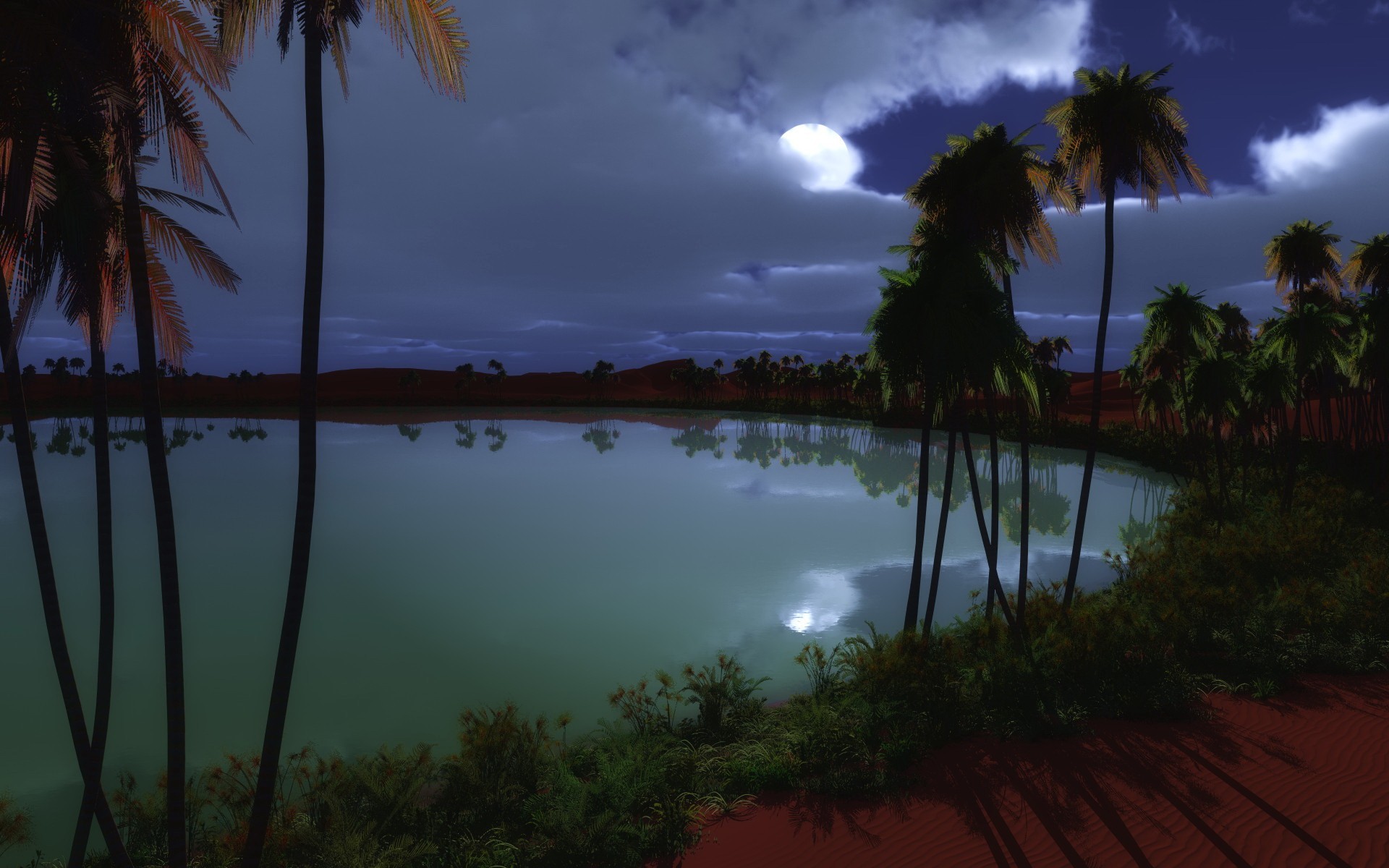 lago palme oasi notte luna