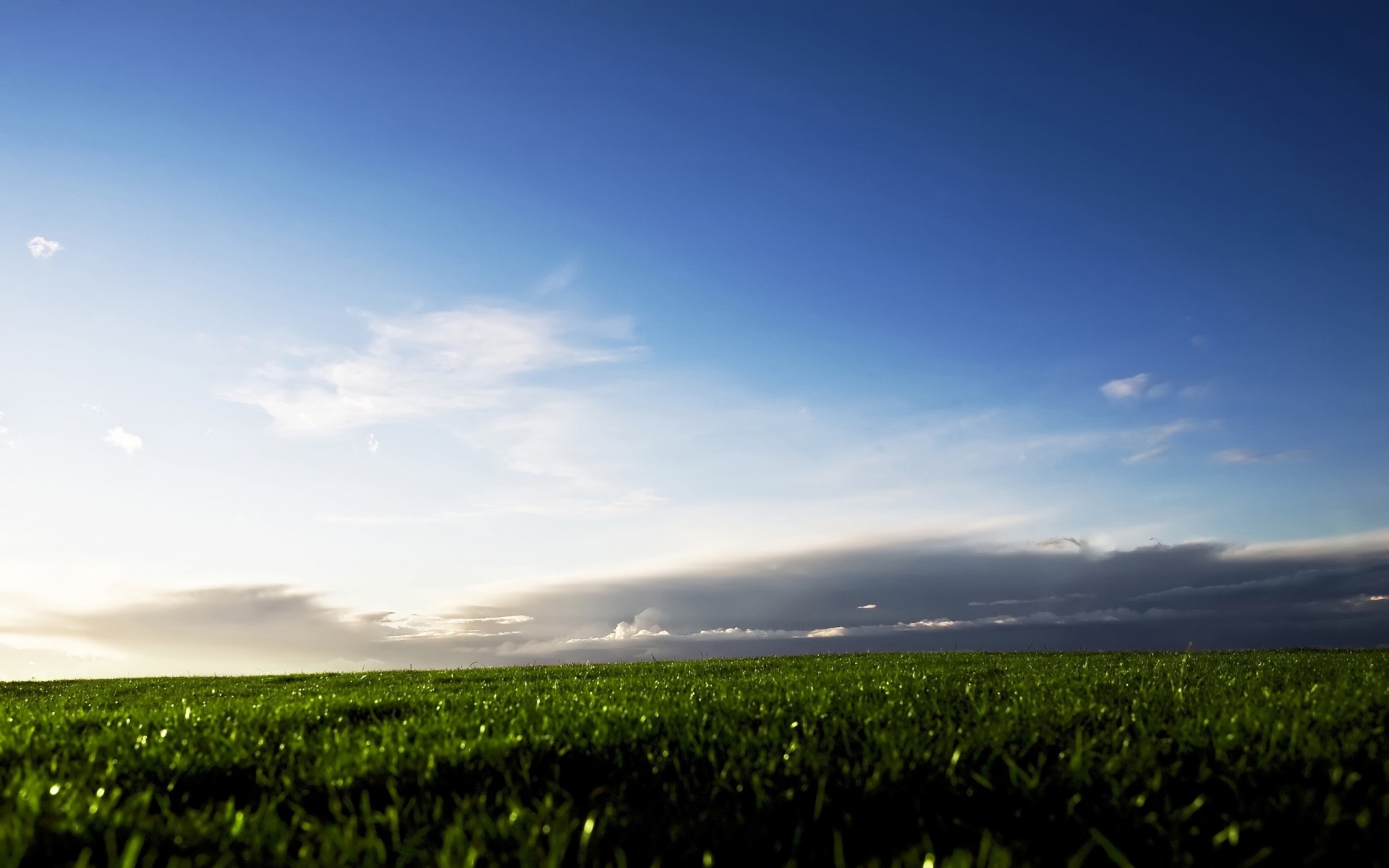 erba campo nuvole cielo