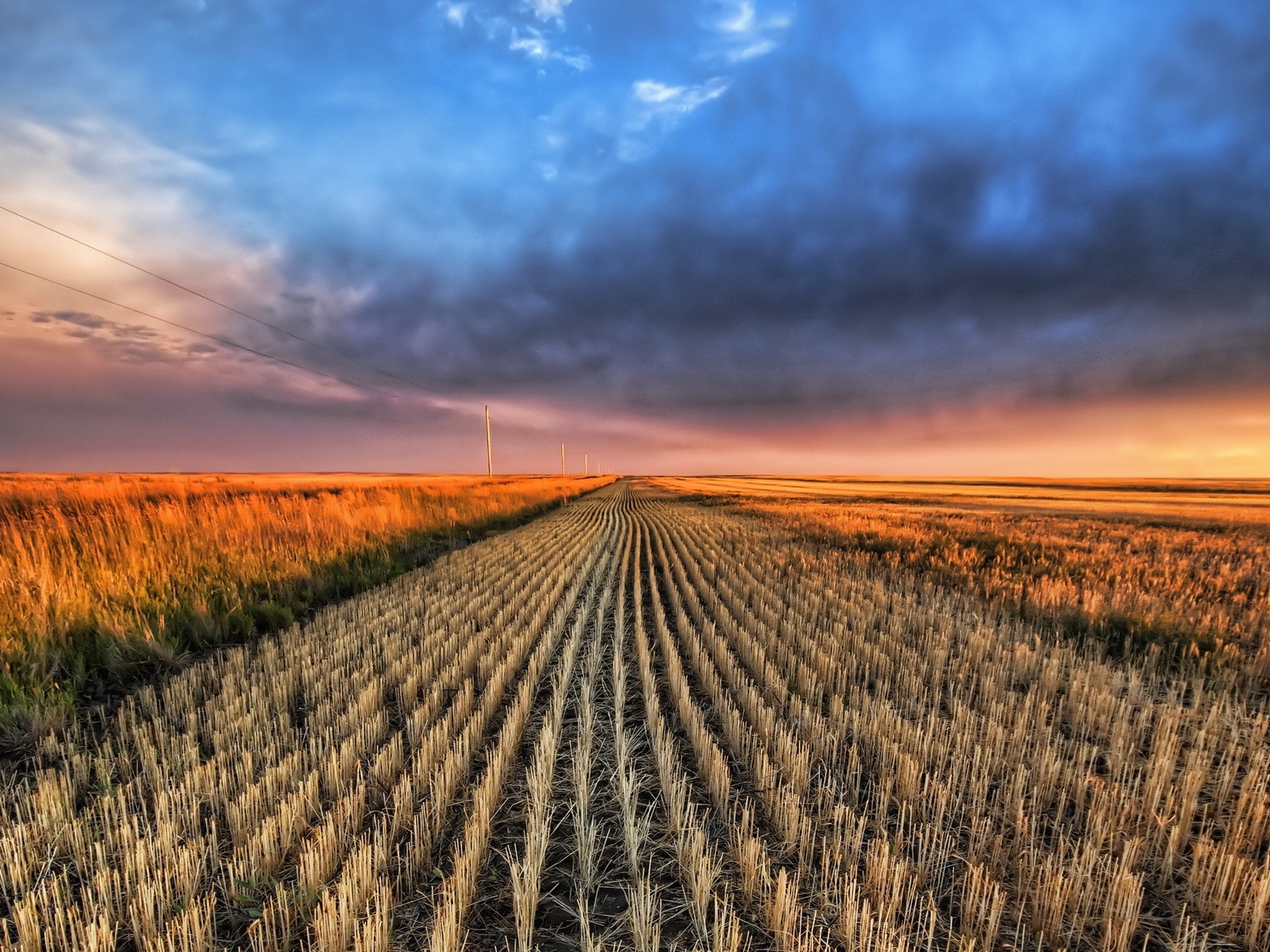 feld wolken horizont