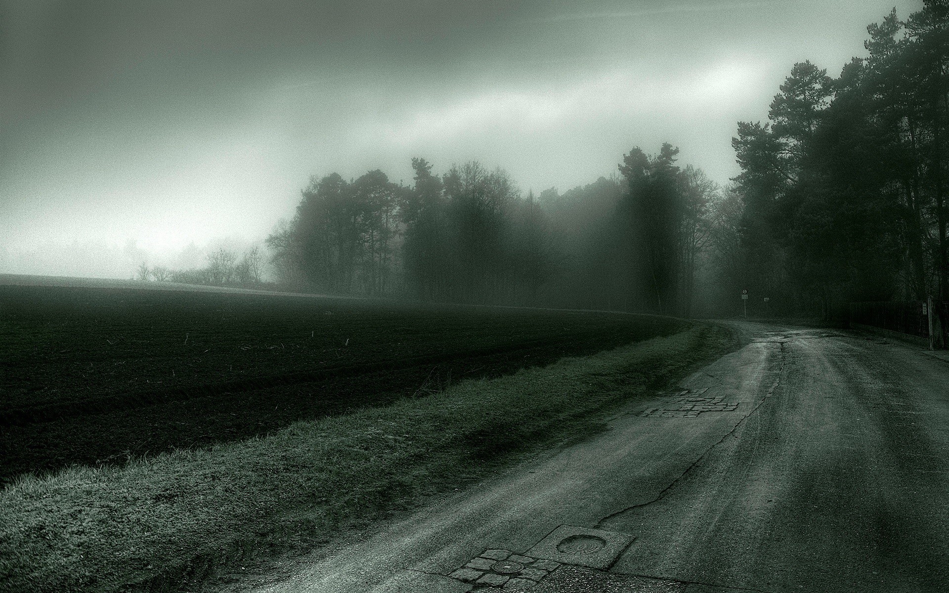 strada campo alberi oscurità