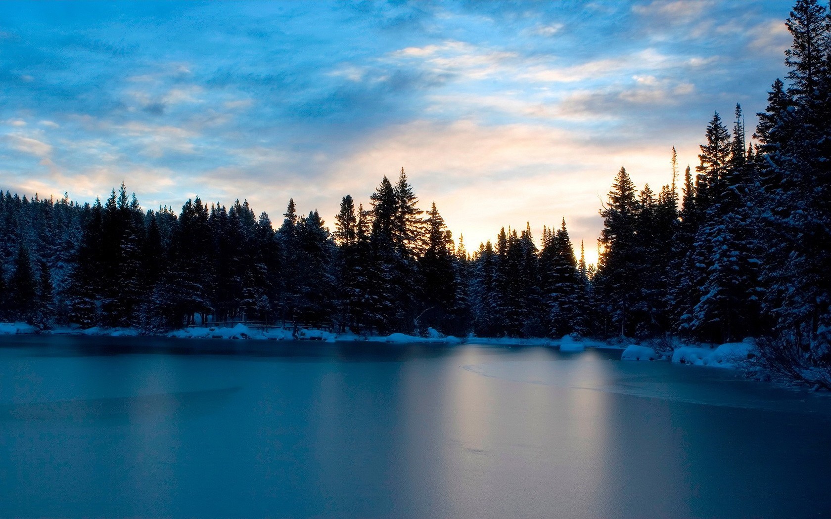 acqua alberi neve inverno