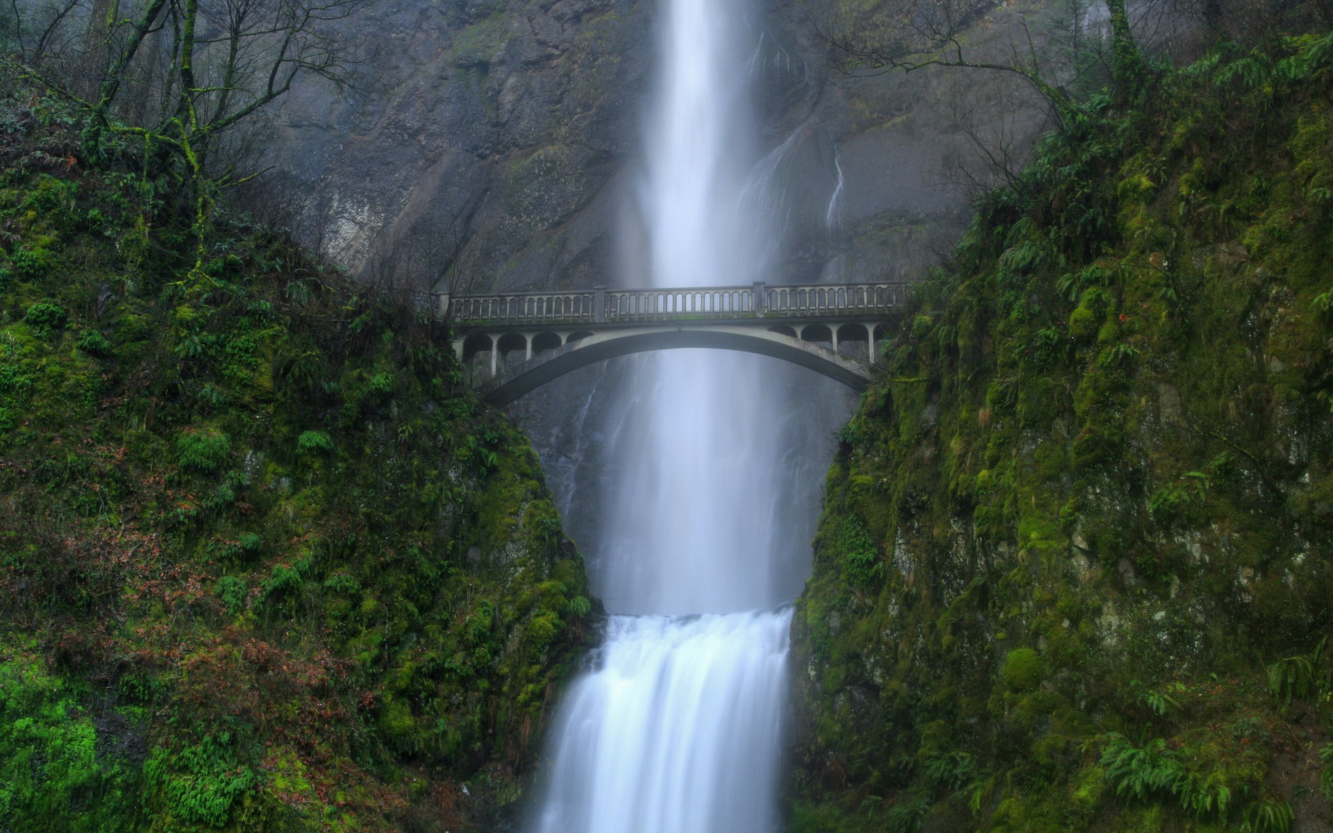 bridge waterfall green