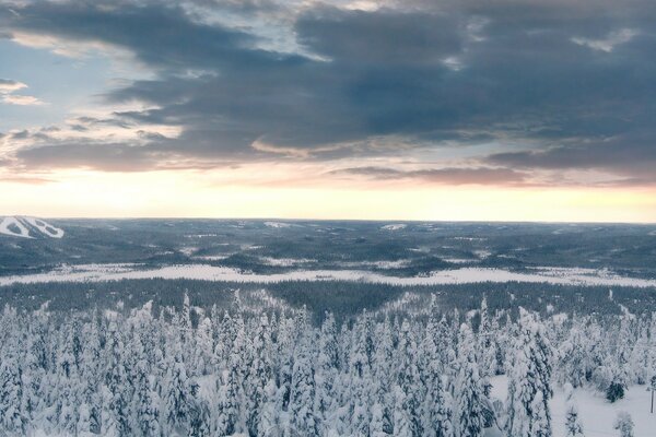 Foresta di neve lontana con tramonto dorato