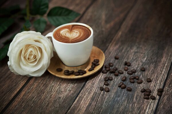 Café fraîchement moulu naturel avec motif de lait