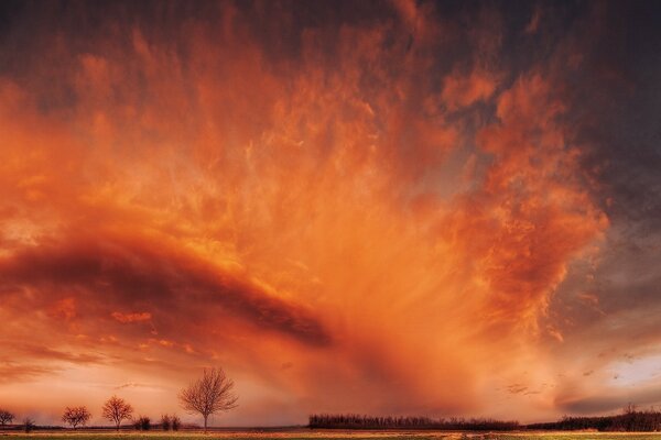 The road going through the field. Beautiful red clouds