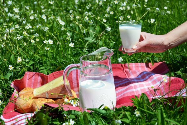 Photo of a summer picnic milk and color