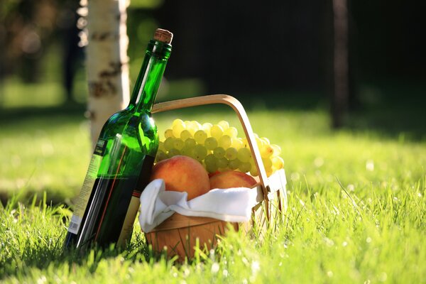 Vino e cesto con pesche e uva in erba al sole