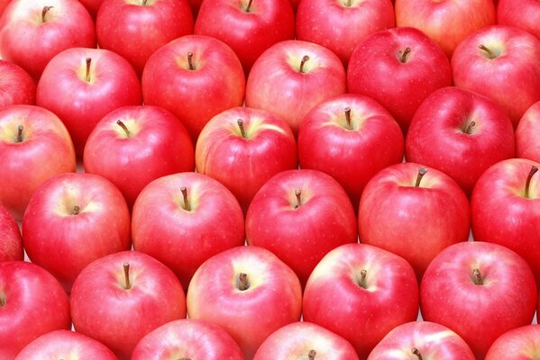 Red Ripe Apples puzzle