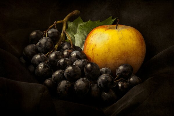 Stillleben mit Trauben und Apfel