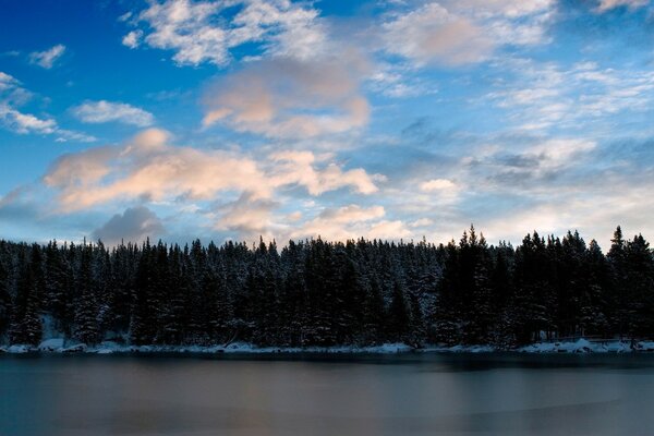 Snow-covered shore of a forest lake