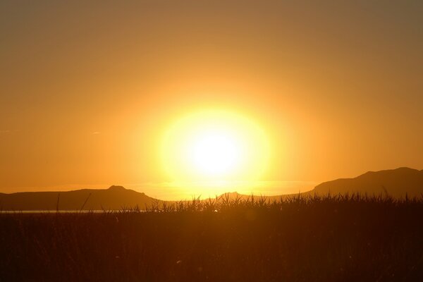 Puesta de sol en el fondo de la hierba