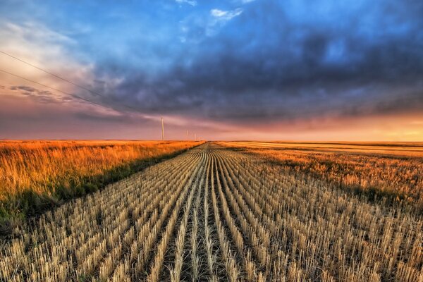 The harvested field at sunset