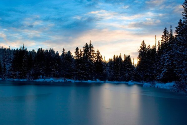 See im Winter , umgeben von Wald