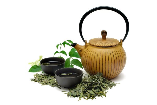 Tea petals and a teapot on a white background