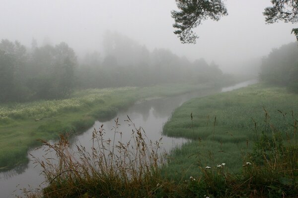 Nebbia serale sul fiume