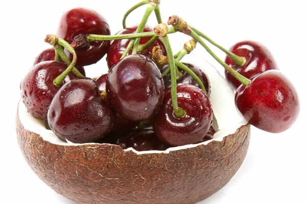 Ripe cherries in half a coconut