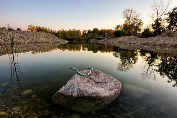 A stone with a branch in a transparent lake