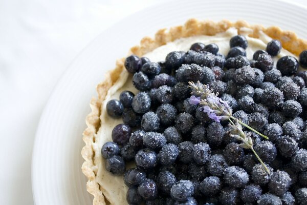 Blaubeerkuchen aus Sandteig