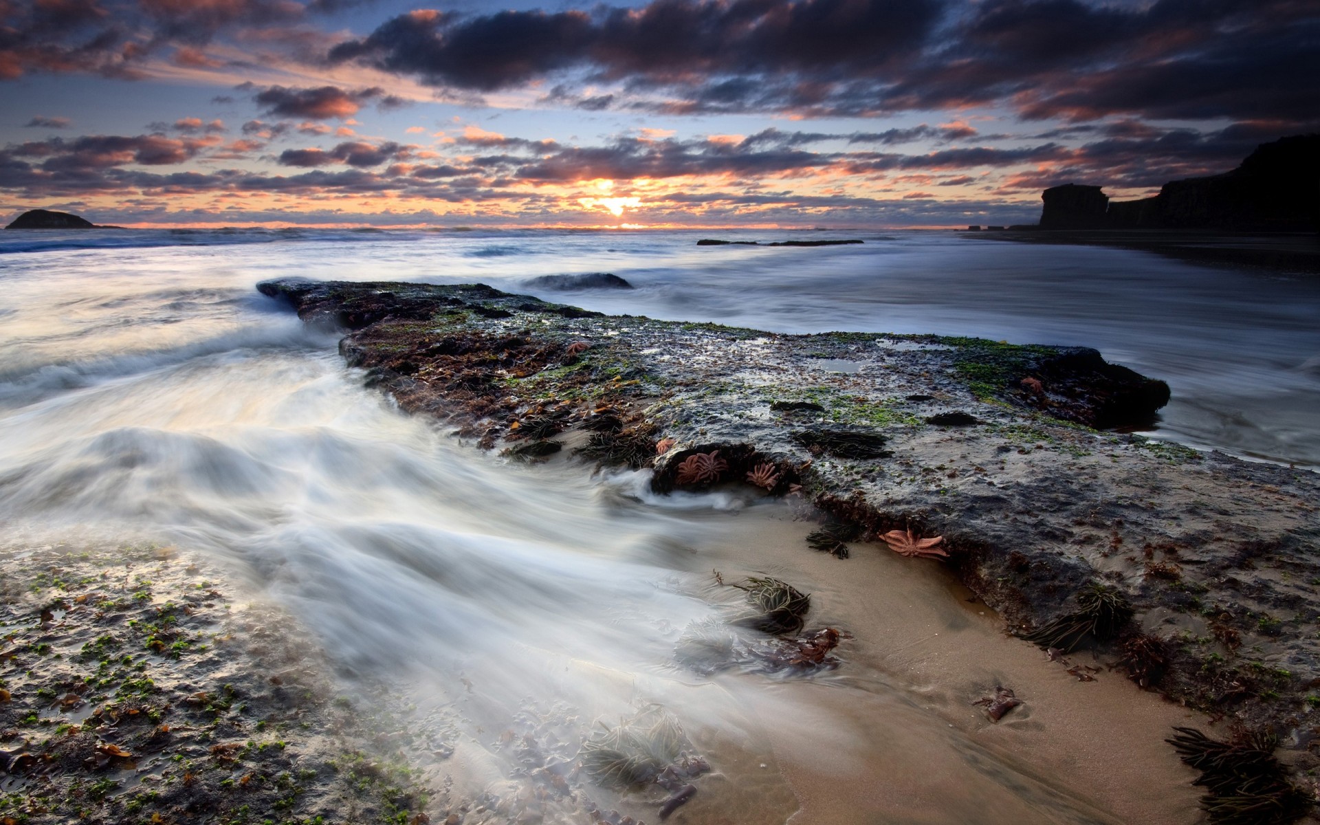 côte pierres eau nuages marée basse