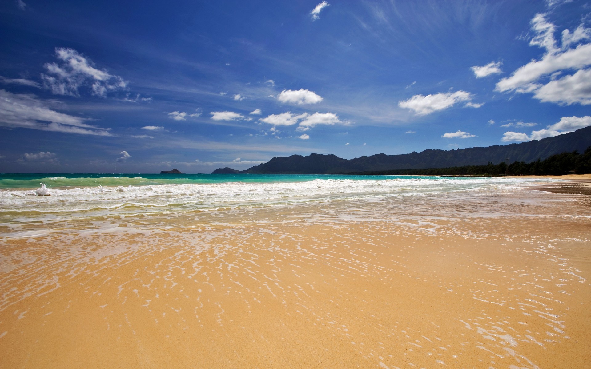 beach sea wave