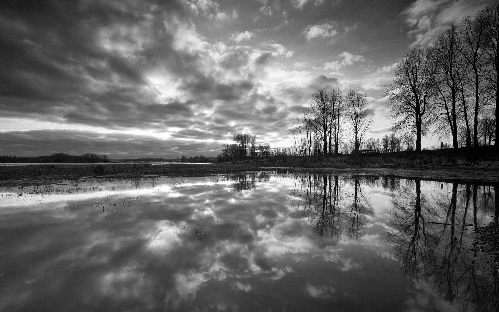 blanco y negro árboles reflexión agua