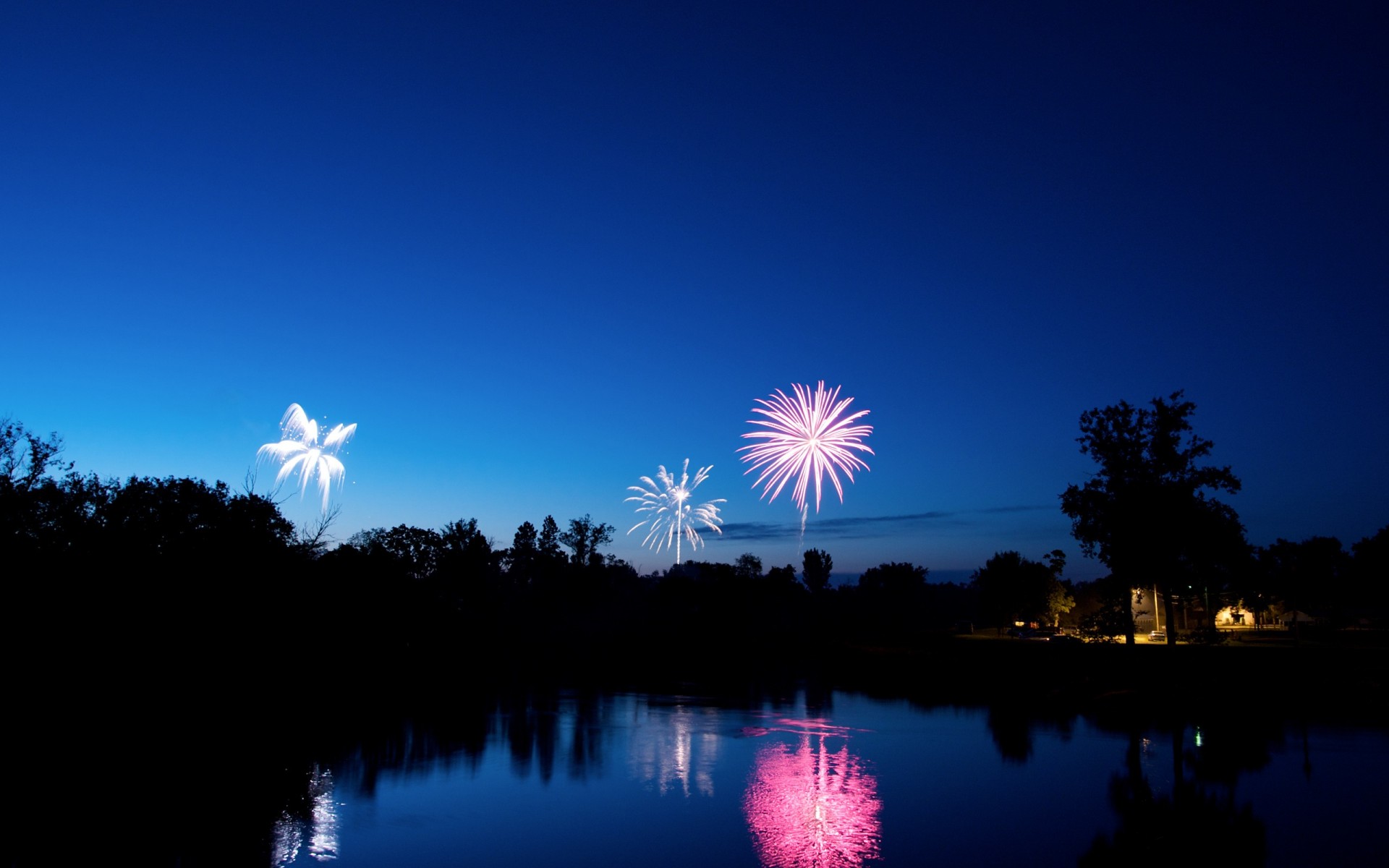 azul noche fuegos artificiales