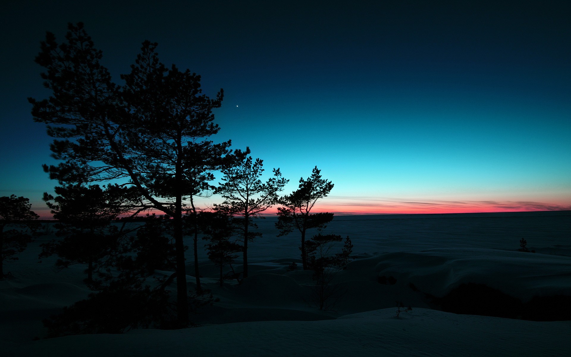 alberi inverno neve tramonto