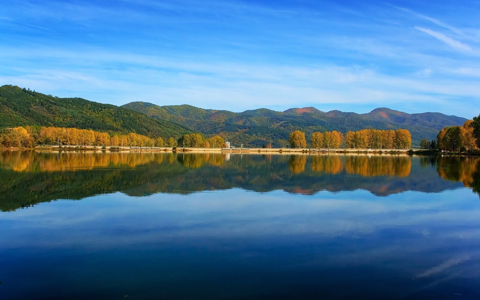 lake tree reflection