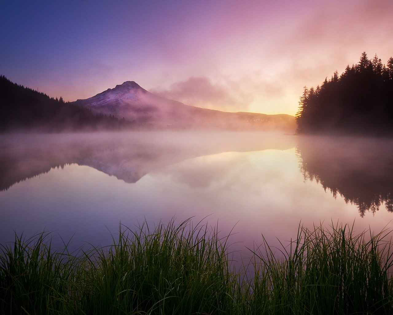 lago hierba niebla montañas