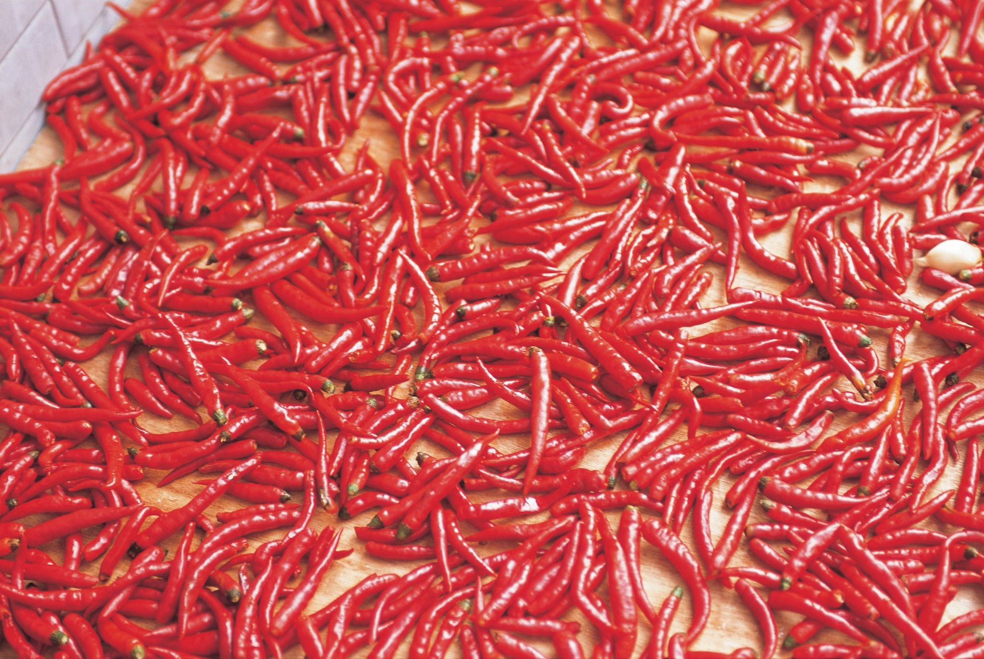 background pepper spices many