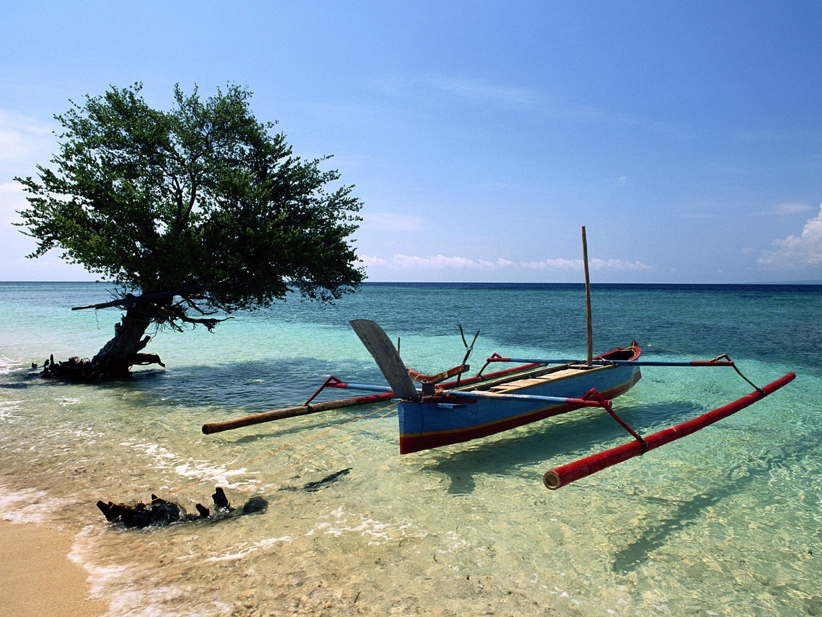 plage bateau arbre