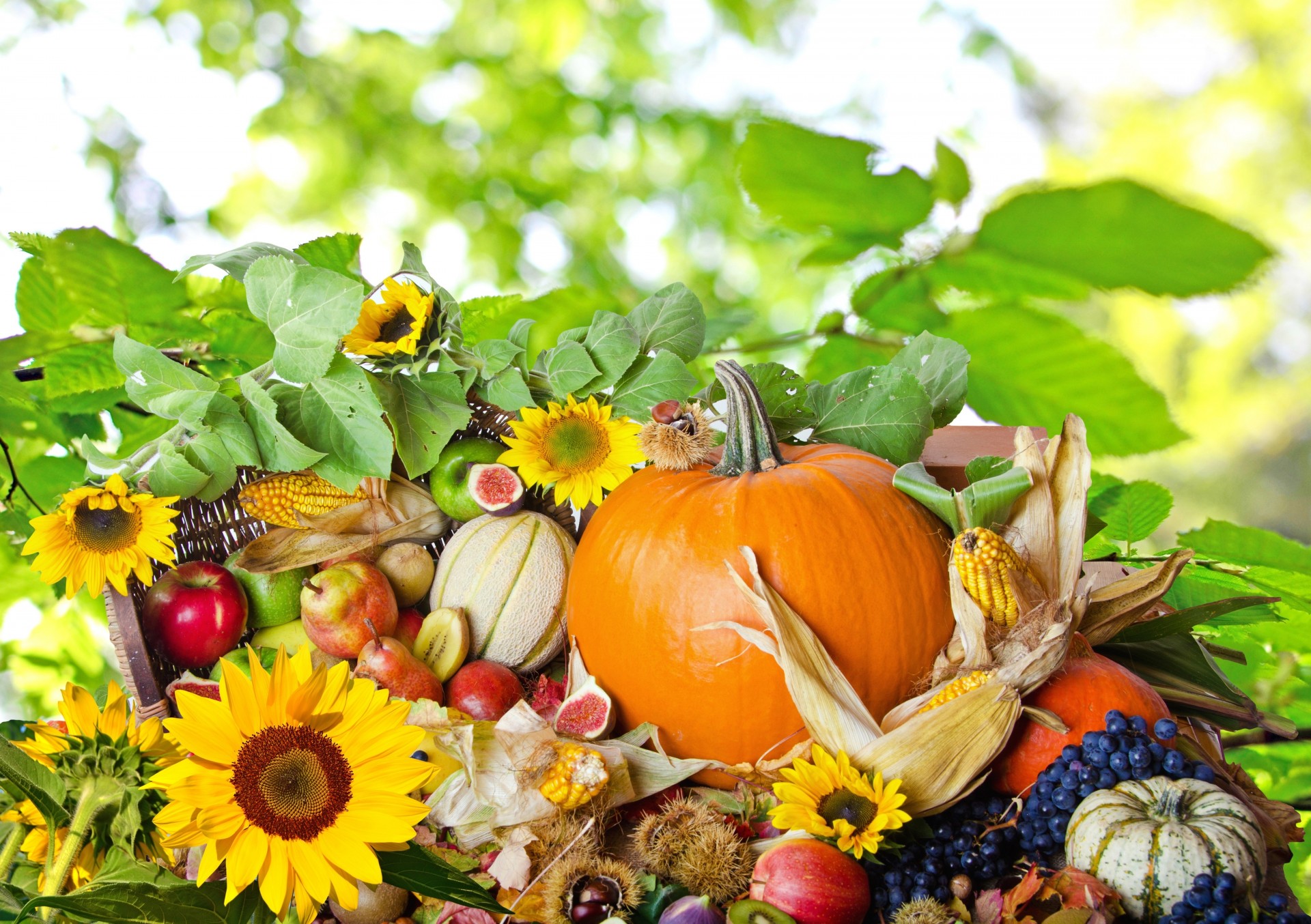 autunno composizione cibo