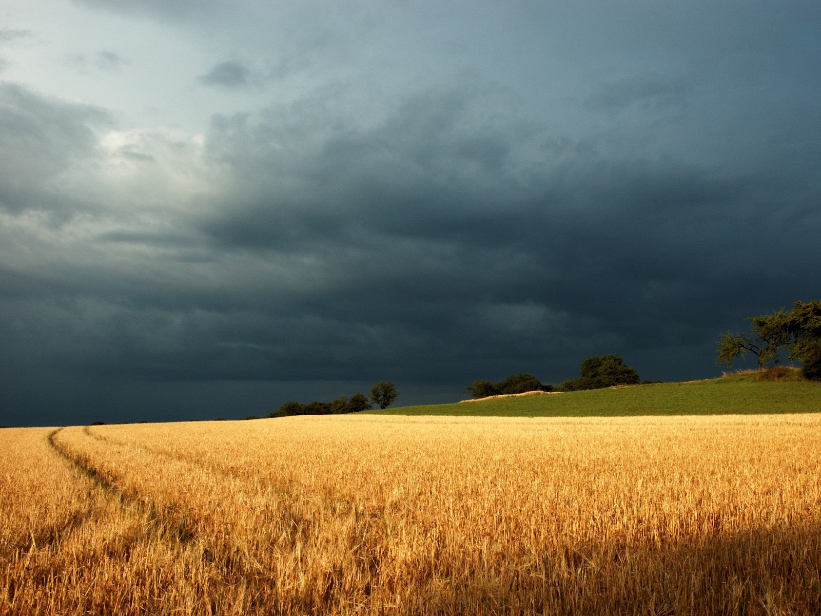 campo nubes tormenta