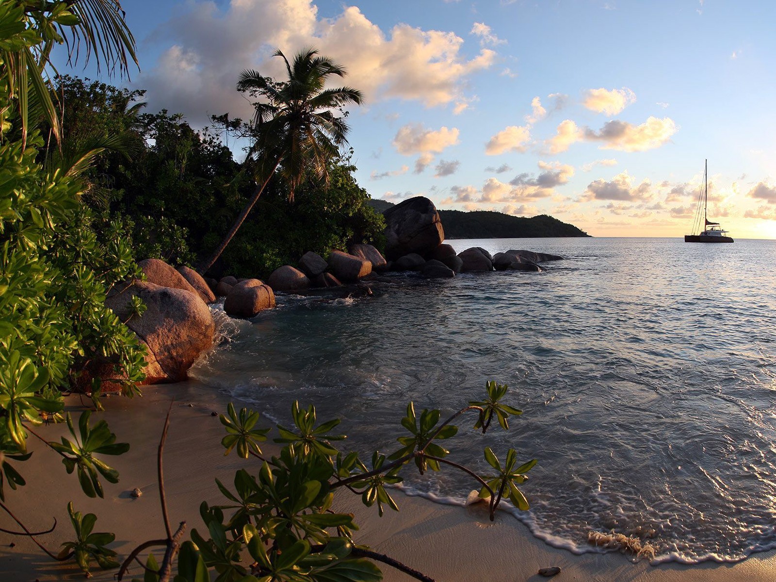 beach stones palm boat sea